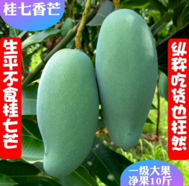 自然全精品田東桂七芒果廣西百色香甜芒果產(chǎn)地批發(fā)10斤裝一件代發(fā)