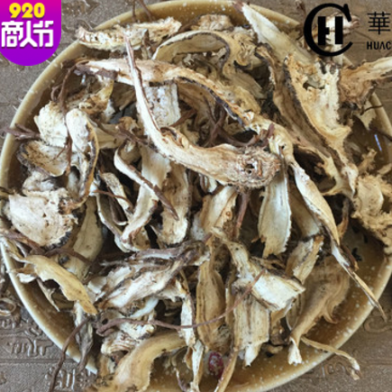 甘肅產(chǎn)地直銷當歸片 無硫全歸片 中藥材低價批發(fā)