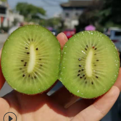 陜西獼猴桃 徐香綠心奇異果 眉縣產地現摘直銷 綠心獼猴桃