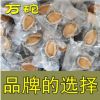 大連野生鮑魚批發 即食冷凍鮑魚 去黃鮑魚 500g 8-12頭