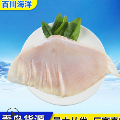 批發供應 老板魚翅 水產老板魚翅冷凍海鮮食品 廠家直銷