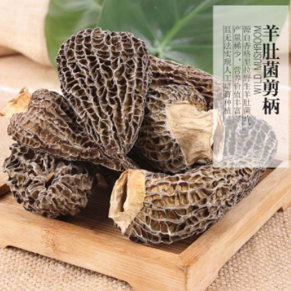 云南野生菌干貨 剪柄羊肚菌 野生羊肚菌干貨價(jià)格從優(yōu) 食用菌批發(fā)