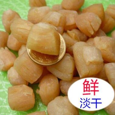 北海特產(chǎn)海產(chǎn)品海鮮特級(jí)元貝生曬淡干貝邊肉干貨丁瑤柱大干500g