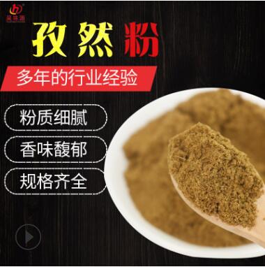 批發(fā) 散裝孜然粉 燒烤調(diào)味料孜然碎撒料腌料炸串麻辣燙 孜然粉