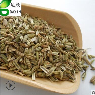 調(diào)料類中藥材 小茴香量大從優(yōu)