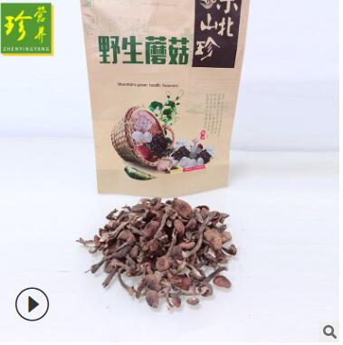 產地貨源東北榛蘑菇 食用菌小雞燉蘑菇榛蘑丁