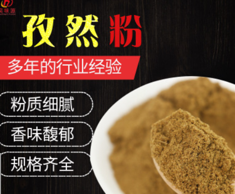 廠家直銷 孜然粉燒烤調味料孜然碎撒料腌料炸串麻辣燙 孜然粉