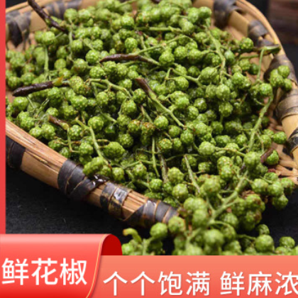 大量銷售供應(yīng) 鮮花椒 青花椒 新鮮 青花椒粒 麻椒干貨香辛料